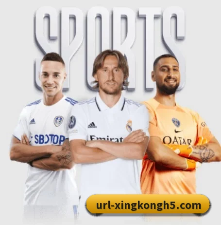 星空体育 APP | XINGKONGSPORT