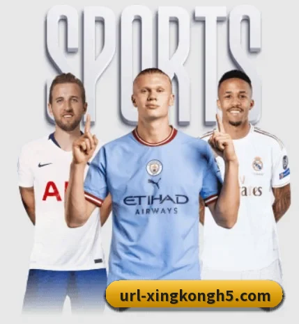 星空体育围绕看球场景设计的核心服务 - 多运动项目内容板块 | XINGKONGSPORT